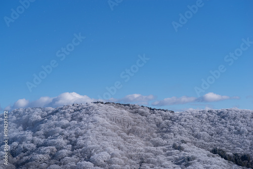 Wallpaper Mural 美しい霧氷の木々と青空 Torontodigital.ca
