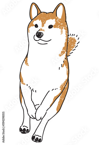 走っている柴犬の手描きイラスト