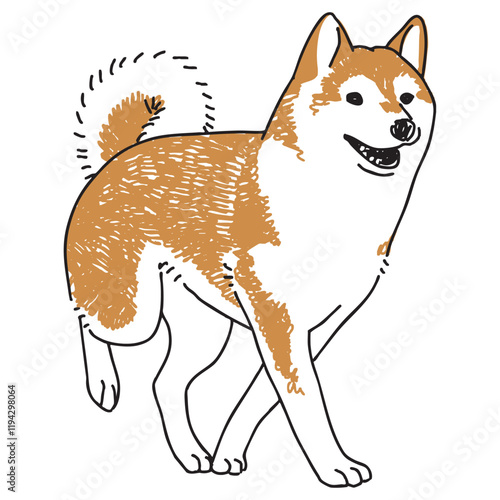走っている柴犬の手描きイラスト