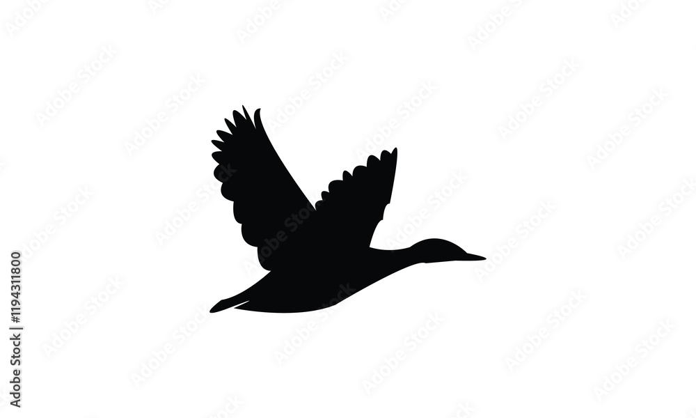 Obraz premium Flying Black Duck Bird Silhouette Design And Vector Illustration. 