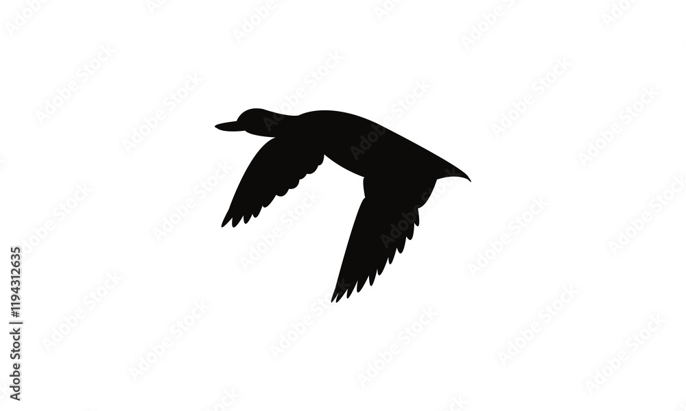 Obraz premium Flying Black Duck Bird Silhouette Design And Vector Illustration. 