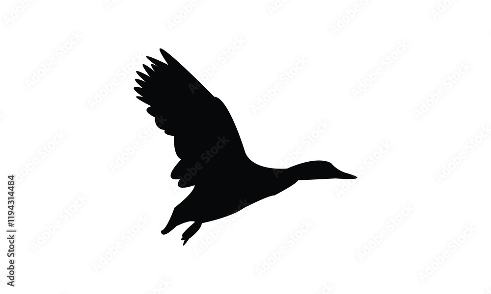 Obraz premium Flying Black Duck Bird Silhouette Design And Vector Illustration. 