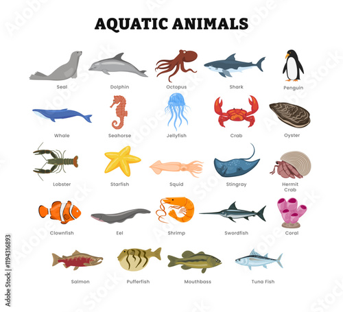 Set of different types of aquatic animal collection for education poster, vector illustration with seal, dolphin, octopus, shark, whale, penguin, seahorse, crab, jellyfish, oyster, lobster, starfish.