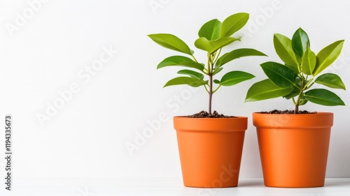 Wallpaper Mural Two green plants in orange pots against white background Torontodigital.ca