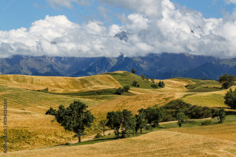Beautiful autumn fields in Xinjiang in China. Beautiful autumn fields in Xinjiang in China.