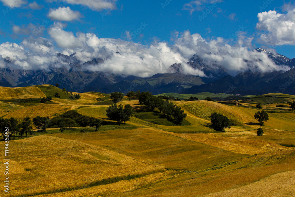 Obraz premium Beautiful autumn fields in Xinjiang in China.