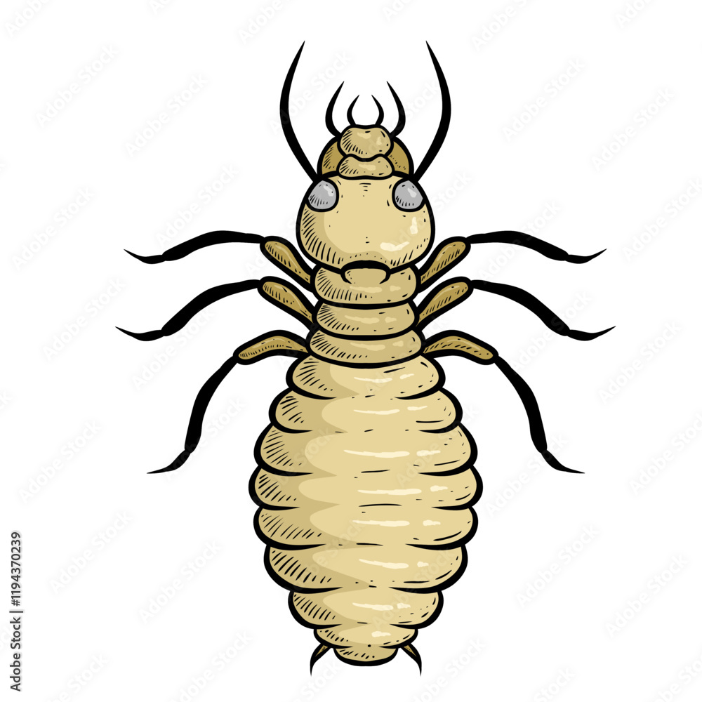 Naklejka premium illustration of isoptera isolated