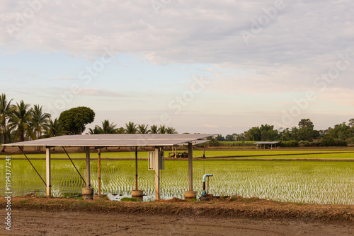 Rice fields and solar panels for generating energy for pumping groundwater for agriculture. Clean energy concept..