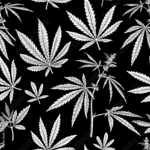 Black and white seamless pattern with hand drawn sketch of Cannabis. Vector illustration of leaves and plant Hemp. Botanical drawing of Medical Marijuana foliage. Vintage engraved style