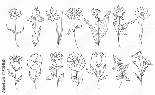 Flower outline spring clip art set. Spring drawing flowers in black and white doodle, lines, sketch and flat clipart collection. Vector illustration floral elements set.  
