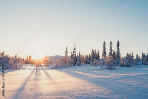 Sun casting long shadows over a snow-covered field in Trillevall photo