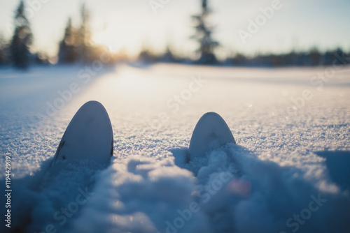 Ski tips breaking through fresh snow under a bright winter sunri photo