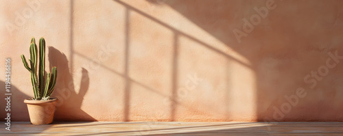 warm toned adobe wall casts shadows beside potted cactus plant