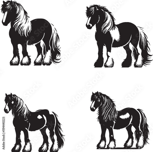 Monochrome Vector Silhouettes of a Standing Shetland Horse Isolated on a White Background photo