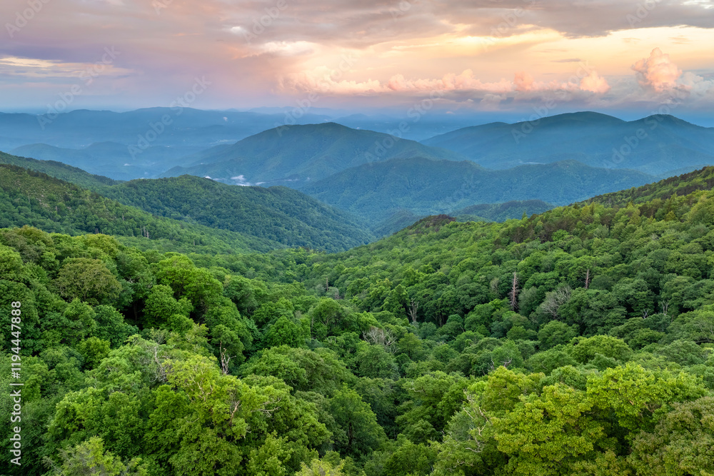 Naklejka premium Summer woods of Appalachian mountains with green canopies in colorful forest at sunset. Wild nature in summertime season