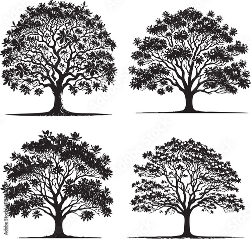High-Quality Monochrome Vector Silhouettes of the Southern Magnolia Isolated on a White Background