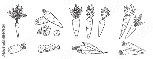 carrots, whole vegetable and piece of carrot doodle hand drawn icon set. Outline drawing carrot line clipart symbol collection