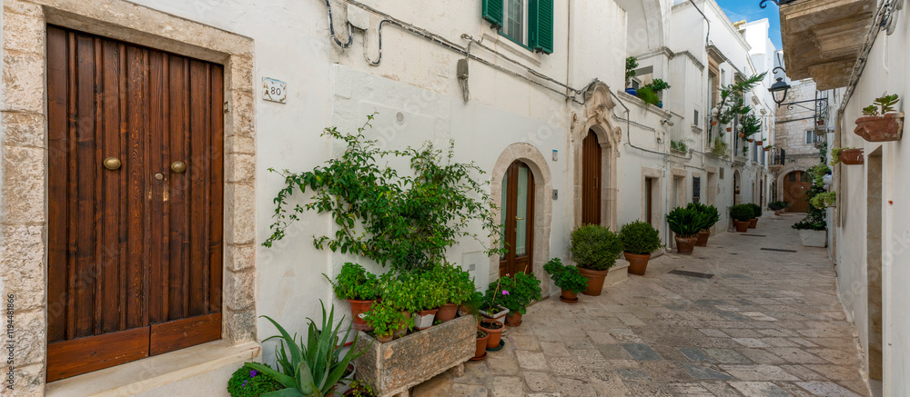 Fototapeta premium street in Locorotondo village, Puglia