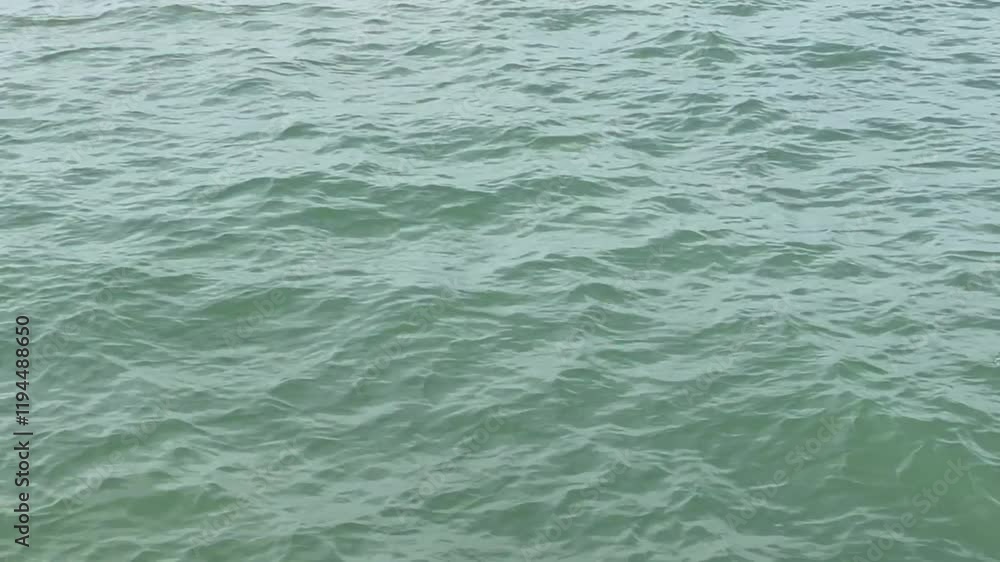 A serene video of gently rippling water, showcasing its tranquil green hues and smooth surface, inviting calmness and reflection.
A serene video of gently rippling water, showcasing its tranquil green hues and smooth surface, inviting calmness and reflection.