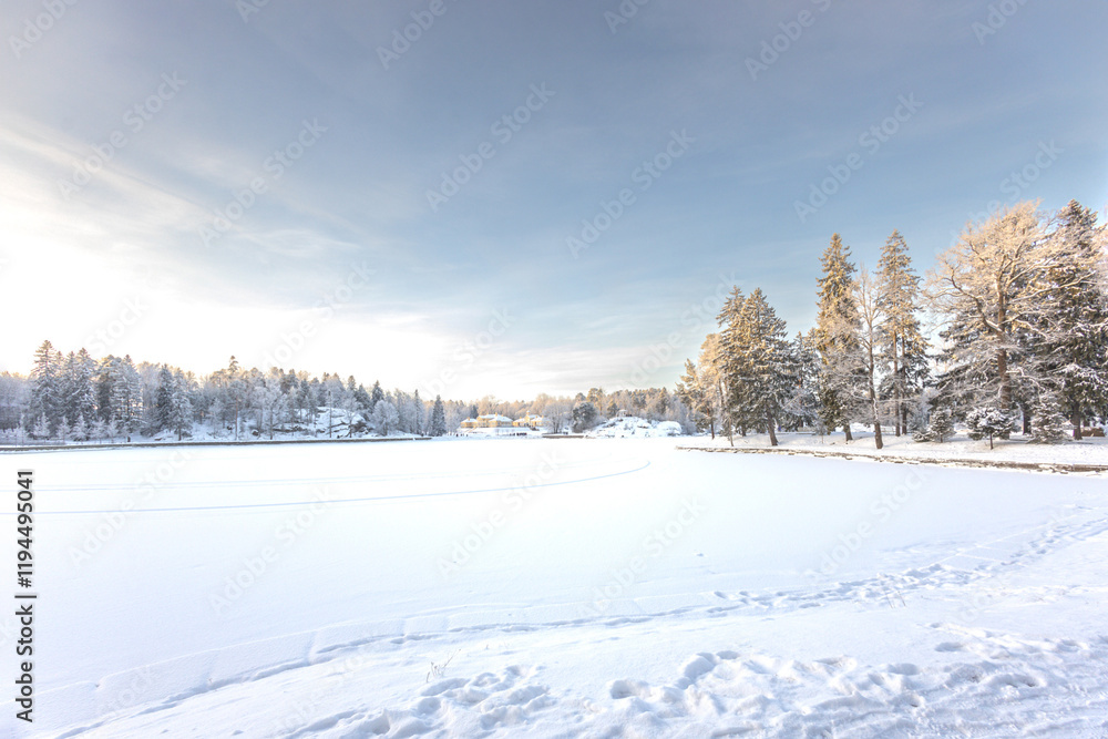 forest, snow-covered, background, hoarfrost, landscape, outdoor, russian winter, snowy, weather, countryside, cold, beautiful, beauty, blue, branch, christmas, climate, country, covered, day, december forest, snow-covered, background, hoarfrost, landscape, outdoor, russian winter, snowy, weather, countryside, cold, beautiful, beauty, blue, branch, christmas, climate, country, covered, day, december