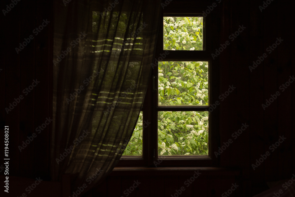 Fototapeta premium spring time, view from an old village window to a blooming garden