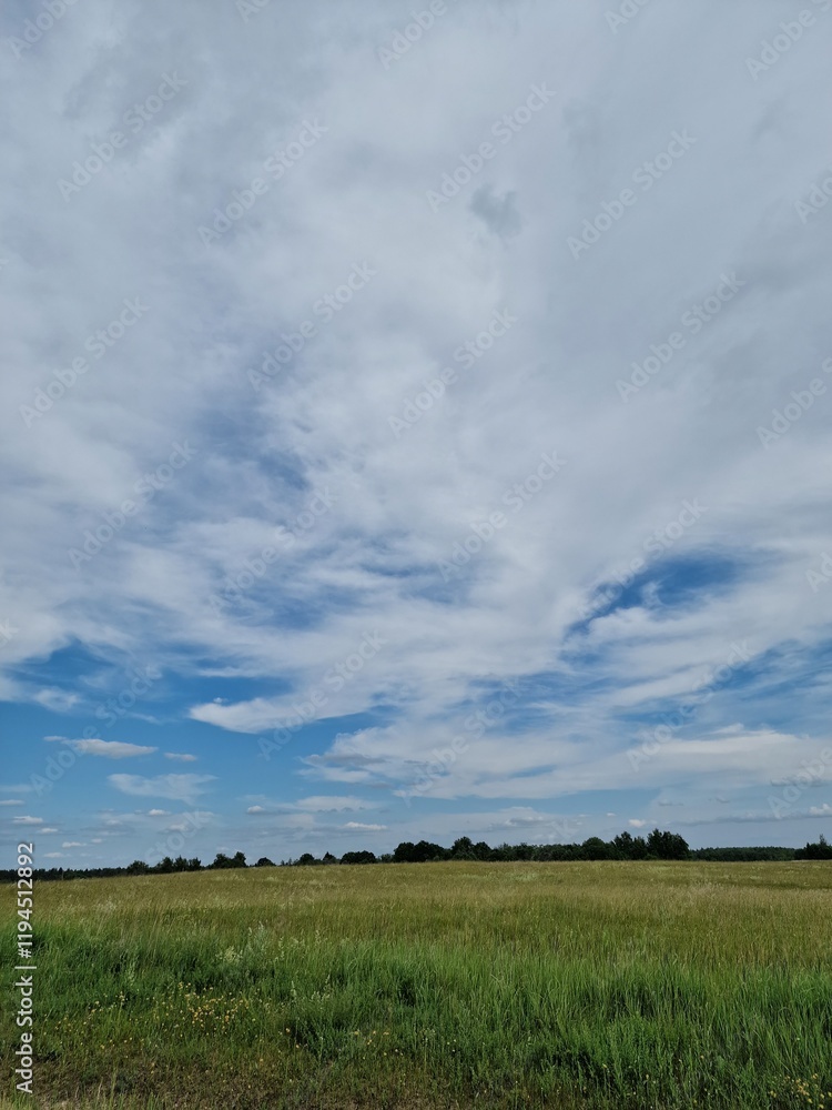 A rural countryside landscape, a wide-open field under a vast blue sky adorned with fluffy white clouds, a sense of tranquility, slow living A rural countryside landscape, a wide-open field under a vast blue sky adorned with fluffy white clouds, a sense of tranquility, slow living