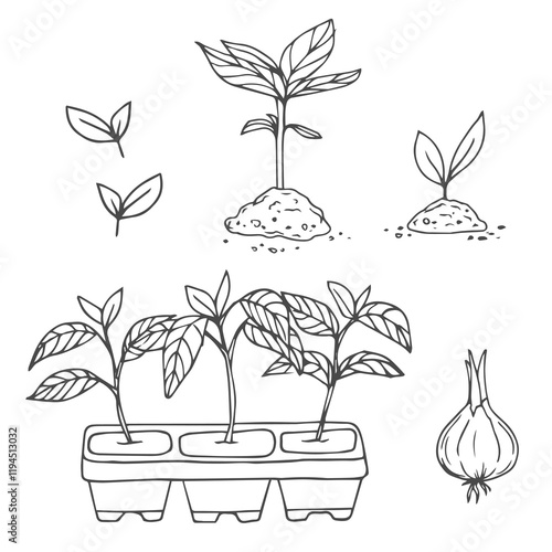 Sprouts set in sketch style. Garden seedlings, vector illustration.
