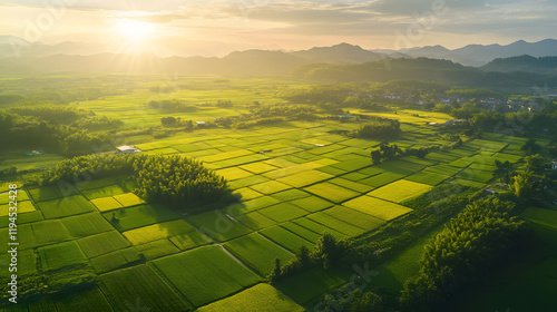 Countryside landscape, canola fields in the mountains of Guangxi, Liuzhou landscape photography, aerial view, golden sunshine. photo