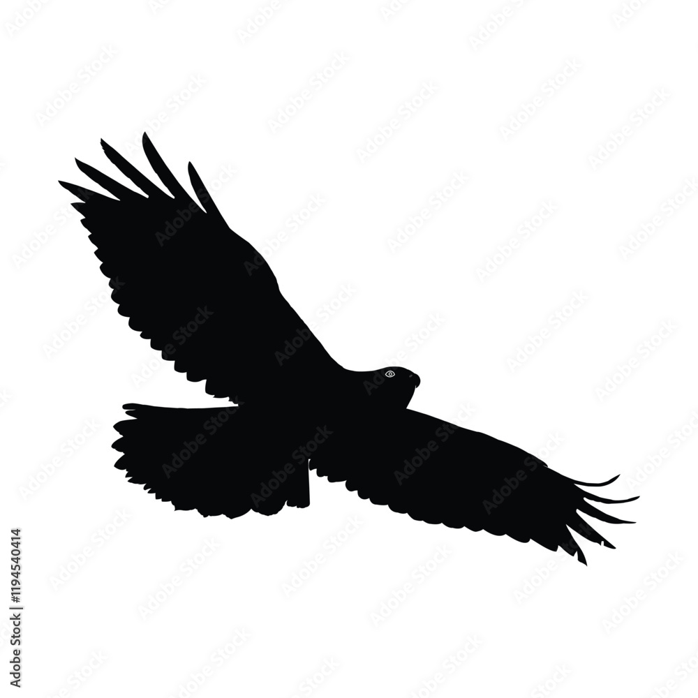 Obraz premium Powerful Silhouette of a Bird of Prey in sky Flight. Symbol of Eagle vector, Eagle Icon, Eagle Logo, Eagle Drawing. 