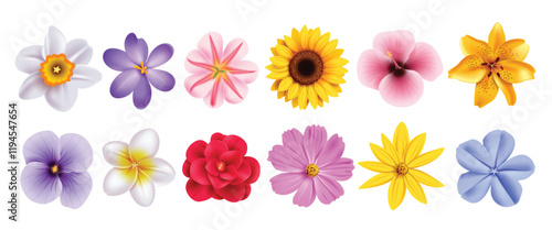 Flowers spring drawing clipart set. Spring flower in colorful collection like daisy, jonquil, sunflower, daffodil and crocus floral bouquet clip art. Vector illustration beautiful flora 3d elements 
