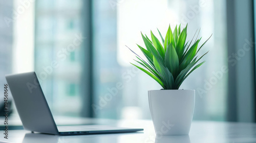 Wallpaper Mural Modern Workspace Minimalism: A sleek laptop rests beside a vibrant green plant in a minimalist white pot. Torontodigital.ca