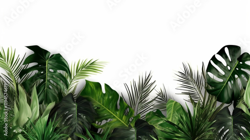 A lush arrangement of various green tropical leaves and plants, cGreen palm foliage on white background reating a vibrant backdrop. 
 photo