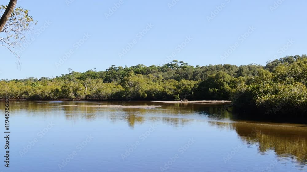 Tranquil Riverbank with Lush Greenery Tranquil Riverbank with Lush Greenery