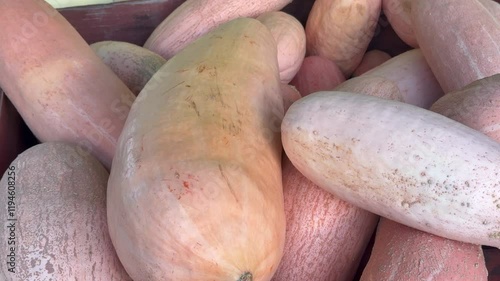 Harvested squash showcasing vibrant yet earthy tones for fall photo