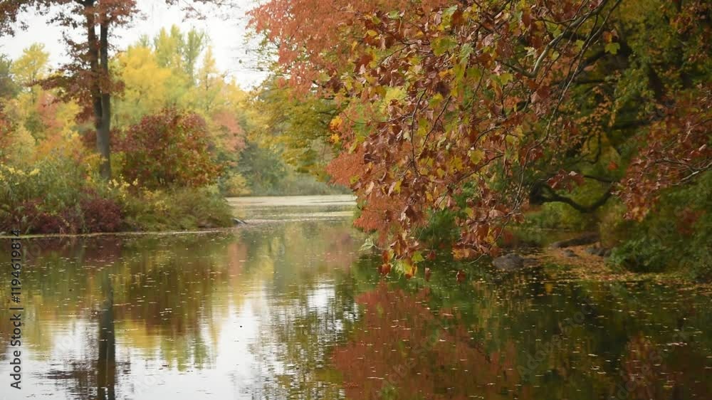 A tripod still video capturing vibrant autumn leaves gently resting by the water of a serene lake off Lake Como during a peaceful weekend day. The scene radiates calm and seasonal beauty. A tripod still video capturing vibrant autumn leaves gently resting by the water of a serene lake off Lake Como during a peaceful weekend day. The scene radiates calm and seasonal beauty.