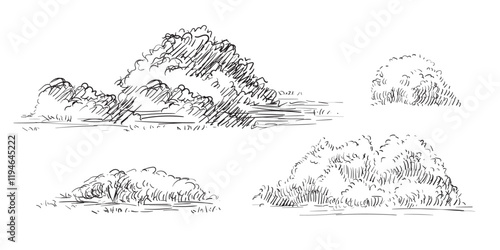 Hand drawing shrubs set vector illustration
