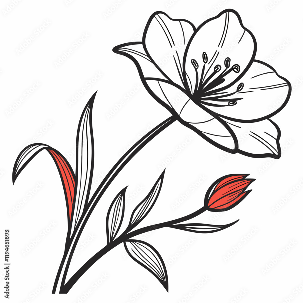 minimal botanical graphic sketch drawing, trendy tiny tattoo design, floral elements vector illustration minimal botanical graphic sketch drawing, trendy tiny tattoo design, floral elements vector illustration