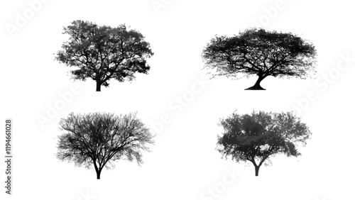 Isolate Vector Tree 5