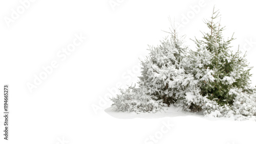 Snowy Mountain Range, Snow-covered bushes on transparent background.