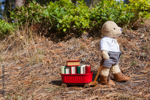 Small Mobile Library Service - Little teddy bear with his cart full of miniature books on the road (copy space)