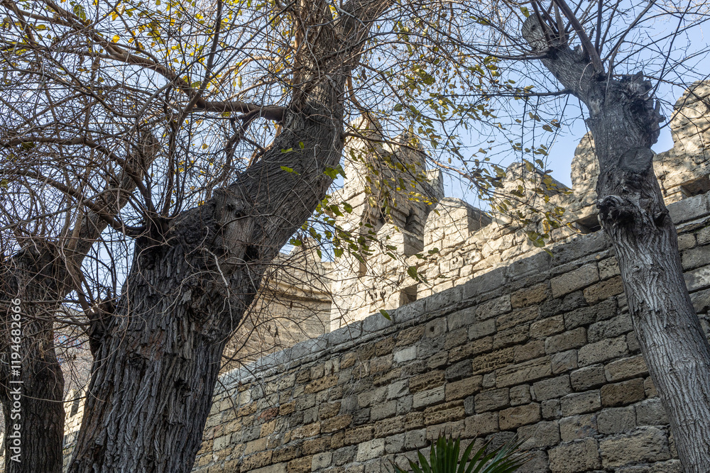 Fototapeta premium Trees in the old town, medieval castle walls