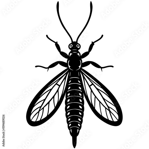 mayfly Ephemeroptera silhouette 