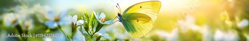 Abstract spring nature with vibrant flowers and a butterfly, showcasing exquisite details and harmonious composition, embodying the beauty of springtime.