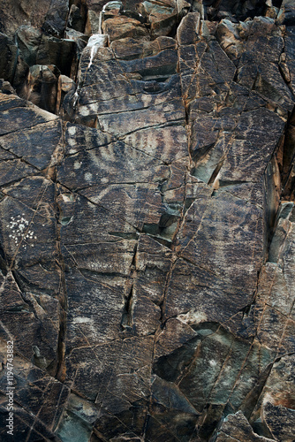 Petroglyphs in Tamgaly. Tamgaly is a petroglyph site in the Almaty region of Kazakhstan. Tamgaly became a UNESCO World Heritage Site in 2004. Tamgaly is located 170 km  northwest of Almaty.