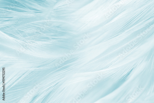 Beautiful  blue turquoise vintage color trends feather pattern texture pastel background