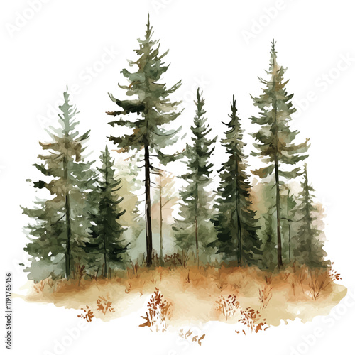 A watercolor of temperate forests, isolated on a white background. Temperate forests vector.
