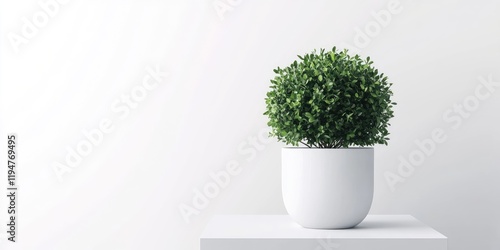 Stylish zamiokulkas plant in white pot on white pedestal against light background showcasing minimalistic interior design with soft focus details photo