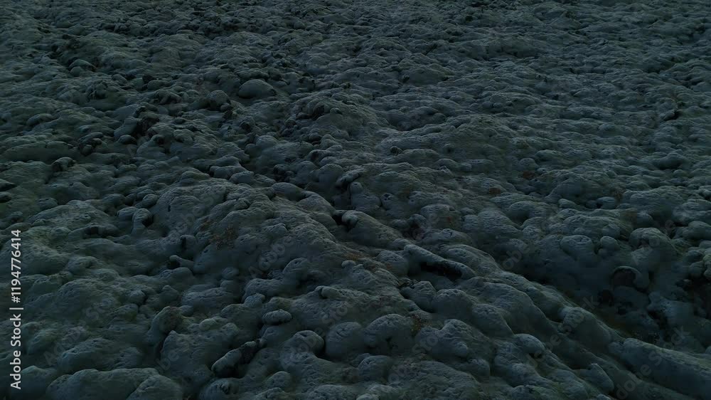 A close-up of moss-covered volcanic rocks in Iceland, showing the unique, uneven terrain with blueish moss and rocky patches, highlighting Iceland’s rugged, untouched natural beauty. A close-up of moss-covered volcanic rocks in Iceland, showing the unique, uneven terrain with blueish moss and rocky patches, highlighting Iceland’s rugged, untouched natural beauty.