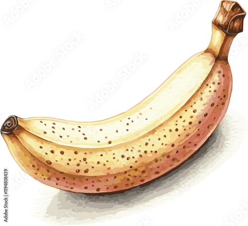 Watercolor illustration of a single banana isolated on white background