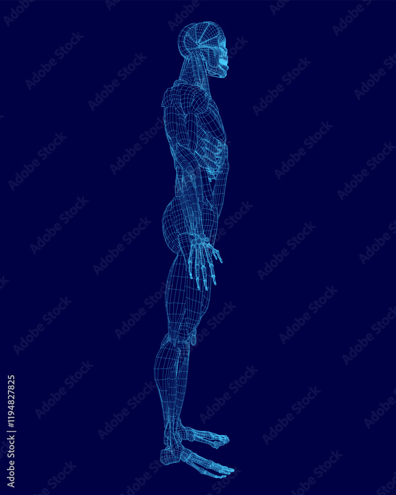 The image is a computer-generated representation of a human body, with a blue torso and legs. The body is standing upright, with its arms extended out to the sides The image is a computer-generated representation of a human body, with a blue torso and legs. The body is standing upright, with its arms extended out to the sides